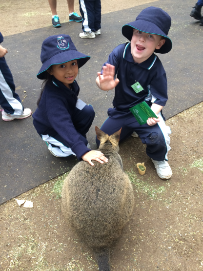 Jelena and Billy patting the wallaby.