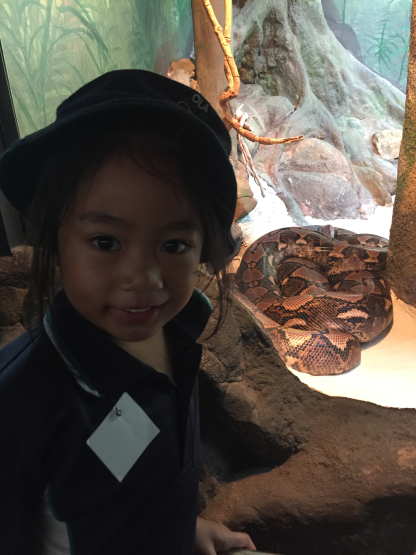 Year One visit Taronga Zoo | OLA Kellyville